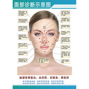 痘痘反射区