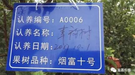 家庭农场起名