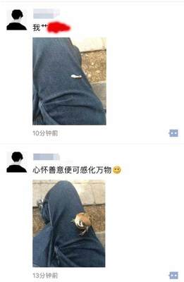 梦见吃自己的屎