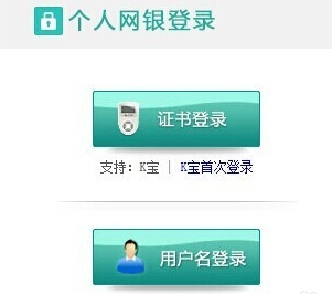 掌上银行的口令是什么东西