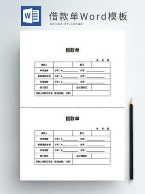 借款报告