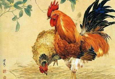 属鸡人今年运势