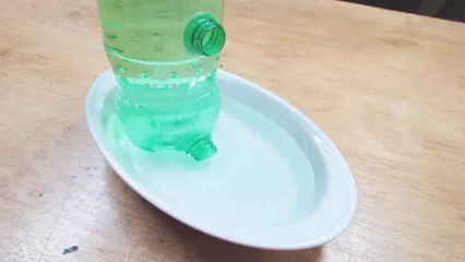 和塑料瓶做立体小动物