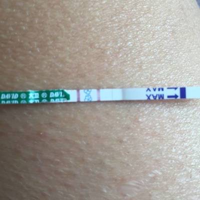 刚怀孕屁多正常吗
