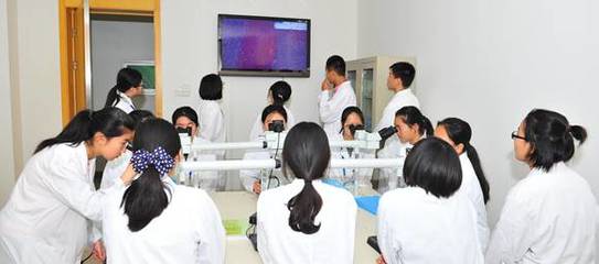 低血钙怎么治疗