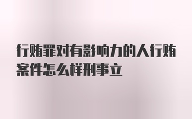 怎么立刑事案件
