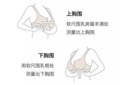 内衣74胸围多少