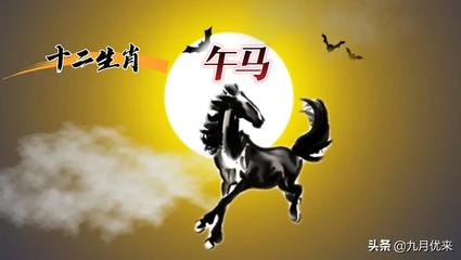 晚上的生肖