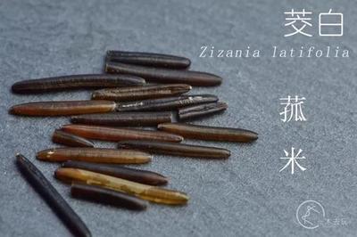 算命口诀七十二句