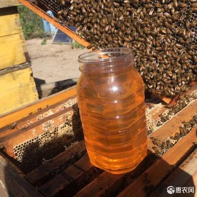 百花蜜和蜂蜜有什么区别