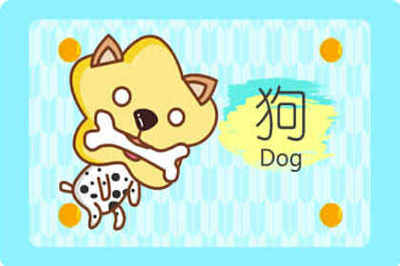 二00六年属什么生肖