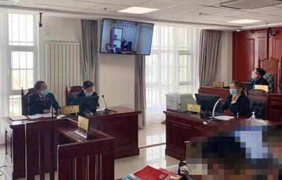 刑事案件开庭视频