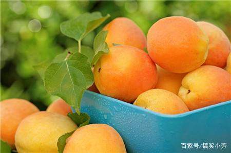 孕妇能不能吃孜然