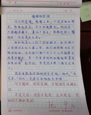 把老师比作梅花作文怎么写