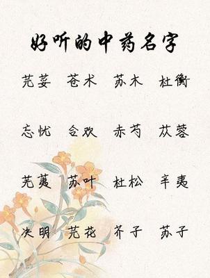 好听的中药昵称