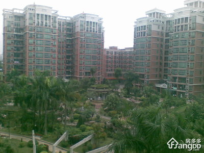 金美花园