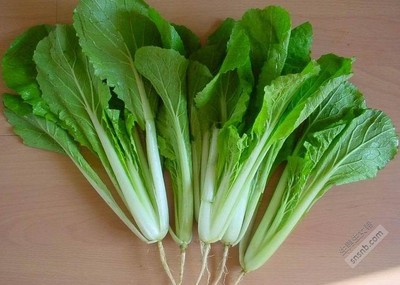 怀孕吃什么青菜好