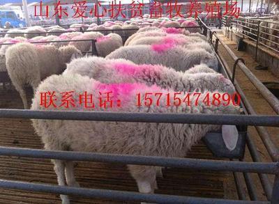 平房扣板装修效果图