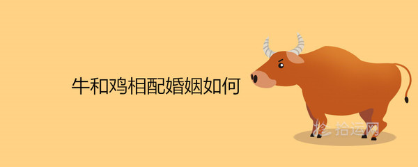 鸡和牛的属相合不合