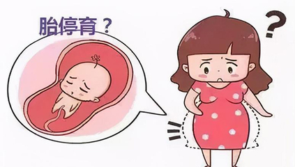 怀孕了怎么看出来