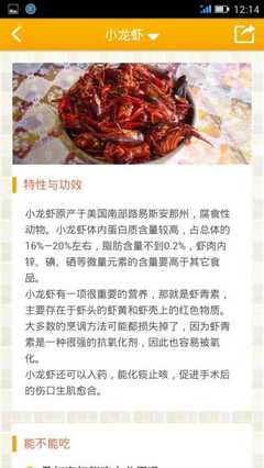 怀孕期间能不能吃虾