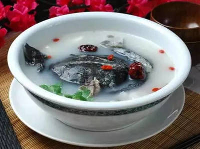 咳嗽能吃甲鱼吗