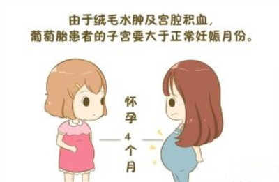 停经了会不会怀孕