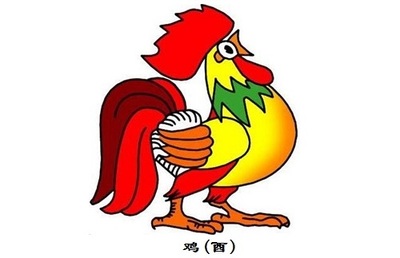 属鸡的命运如何