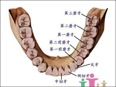 怀孕5个月牙龈肿痛怎么办