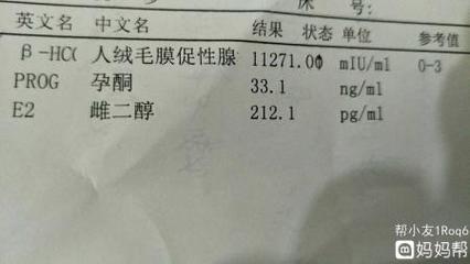 怀孕需要验血吗