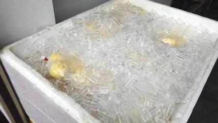 冰块在泡沫箱里可以维持多久