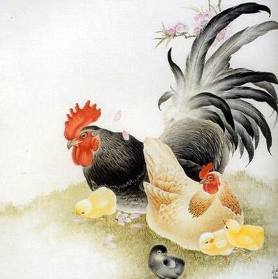 属鸡的今年财运好吗