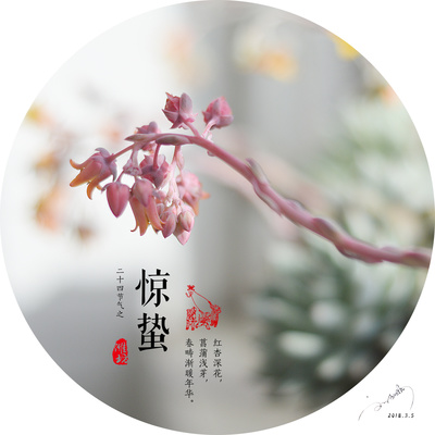 今年的惊蛰是哪一天