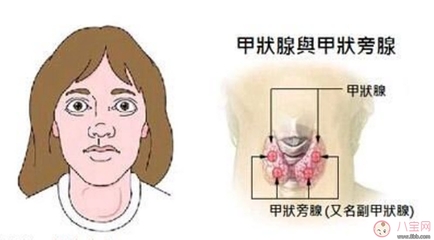 甲亢对胎儿有什么影响