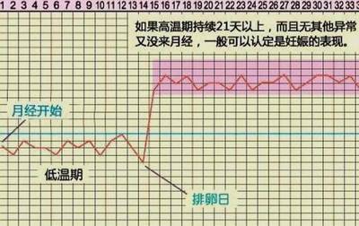 停经后几天是排卵期