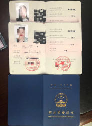 中级美容师证