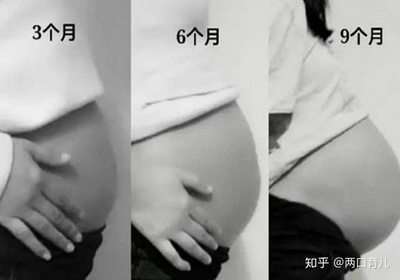 怀孕6个月胎儿体重多少正常