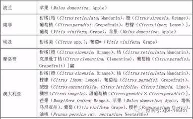 水果英文名