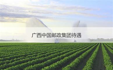 邮政管理局待遇怎么样