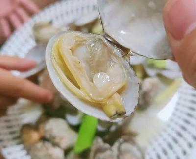 一岁宝宝能吃葱姜蒜吗