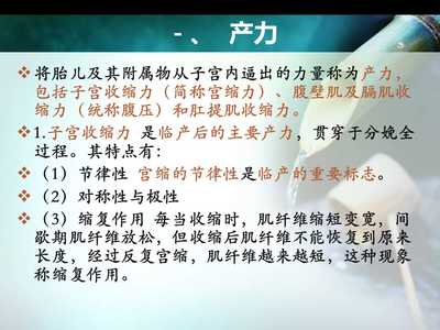 胎儿附属物包括