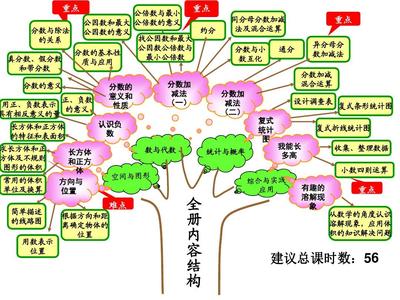 数学知识树小报怎么做