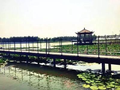 沈阳西湖