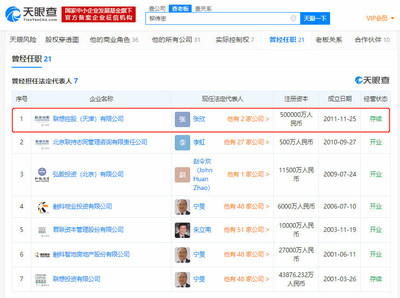 查法人代表的网站