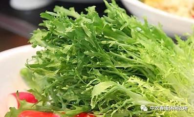 月子里能吃荠菜饺子吗