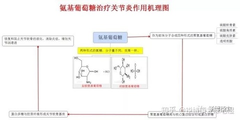 氨基多糖作用和功效