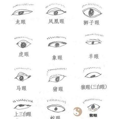 眼睛面相