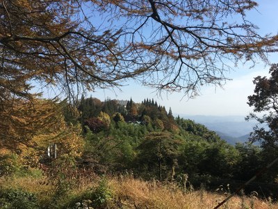 上海到莫干山多少公里