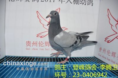 正泰开关质量怎么样