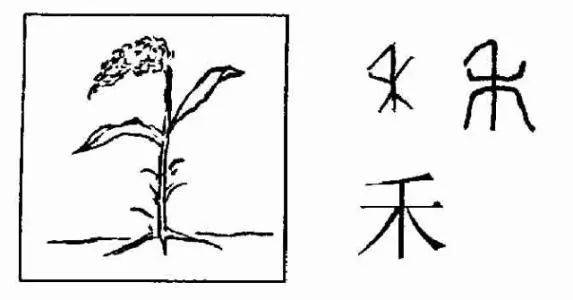 禾字怎么写和字怎么写